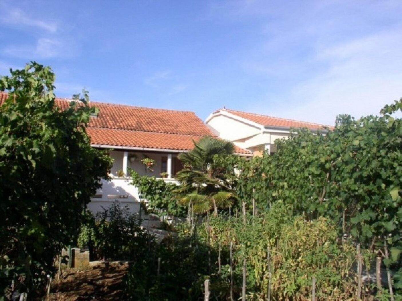 Apartments Kuzma - Afordable Nin Zewnętrze zdjęcie